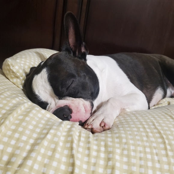 Meet your Posher, Angela - Picture 2 of 2